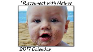 Reconnect with Nature 2017 Wall Calendar